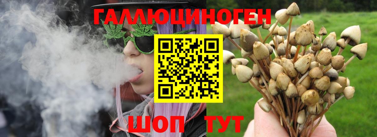 Галлюциногенные грибы GOLDEN TEACHER Севастополь